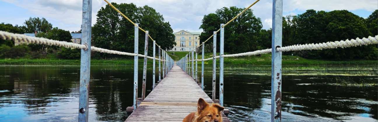 Animal-friendly tourism offer in Bauska region