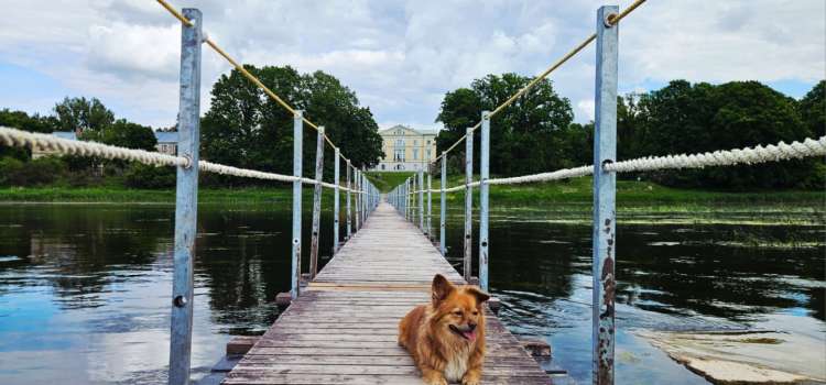 Loomasõbralik turismipakkumine