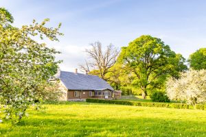 Lejenieki_pavasaris _A_Indriks