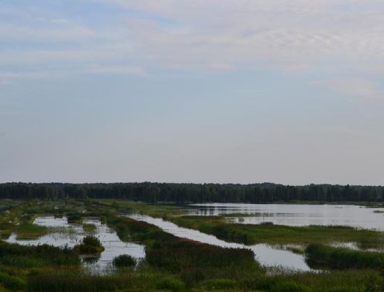Fishing in Lādzēni lake