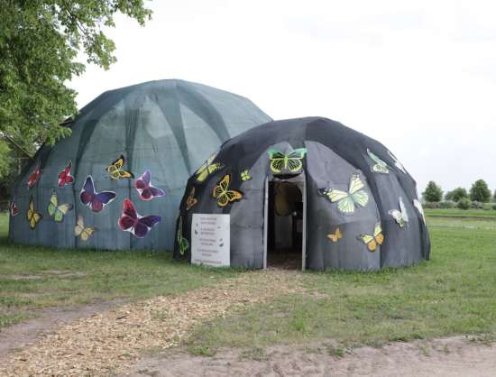 Tropu tauriņu māja