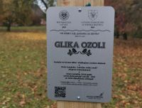 Plāksnīte ar norādi par Glika ozoliem pie Budbergas baznīcas