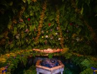 Skats tematisko augu pirtī