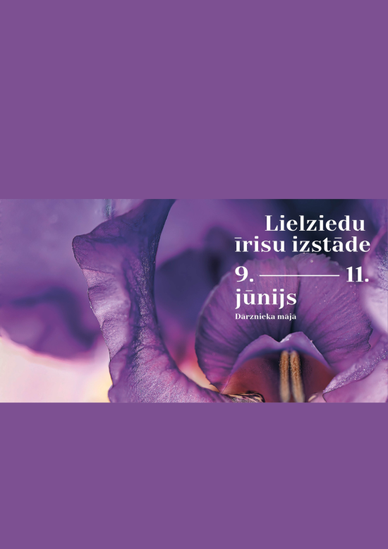 Lielziedu īrisu izstāde Rundāles pils Dārznieka mājā