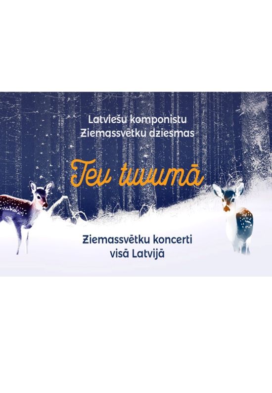 Christmas concert in Skaistkalne