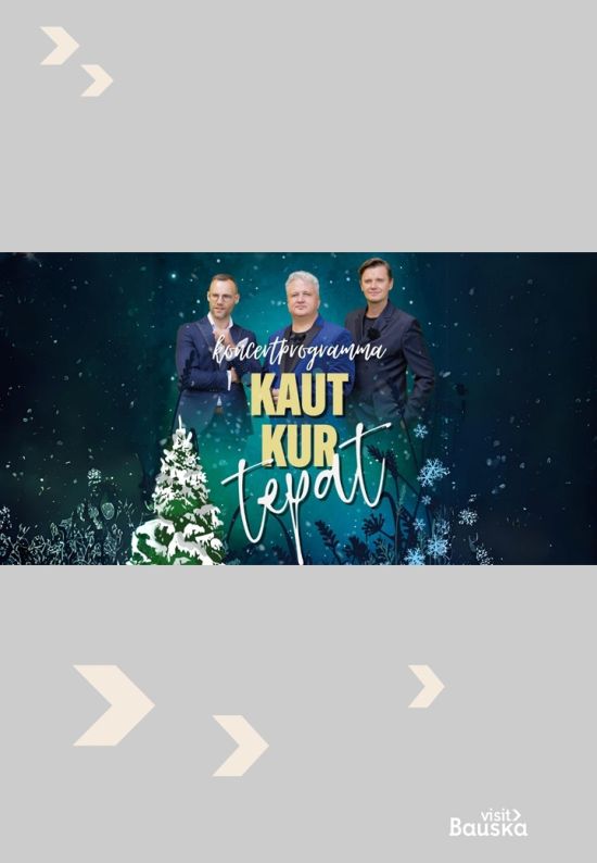 Winter concert program in Iecava