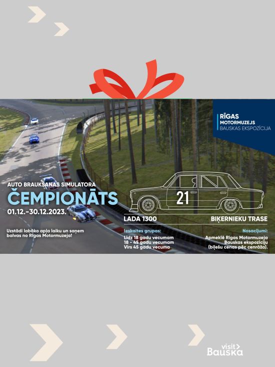 Car driving simulator