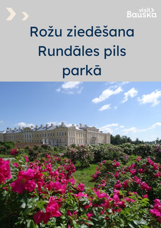 Roses blooming in Rundāle Palace Park