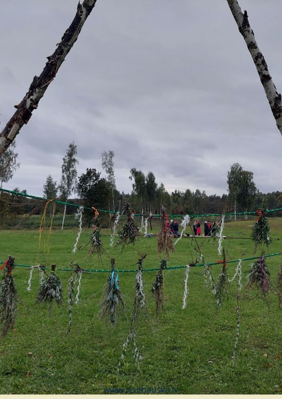 Rudens vībotņu deja Evertos
