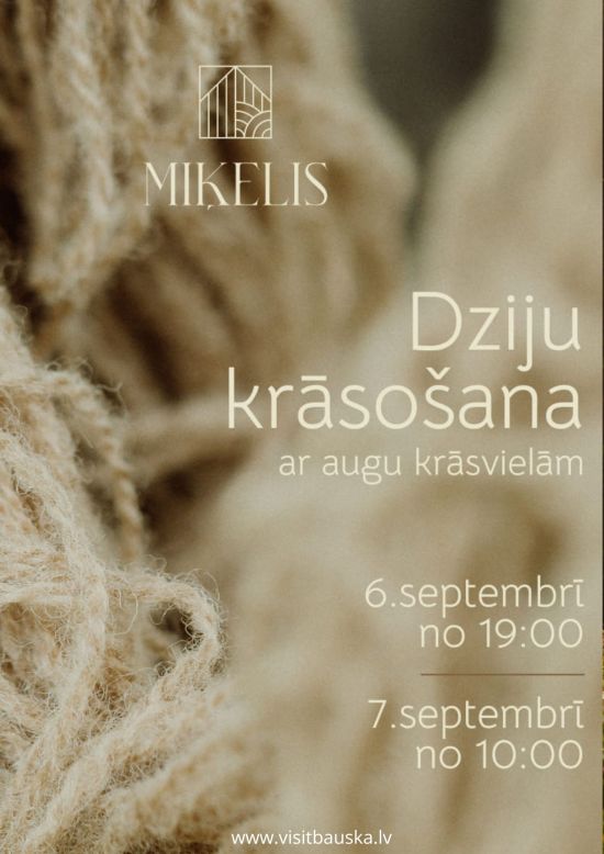 Rokdarbi un sarunas Miķelī