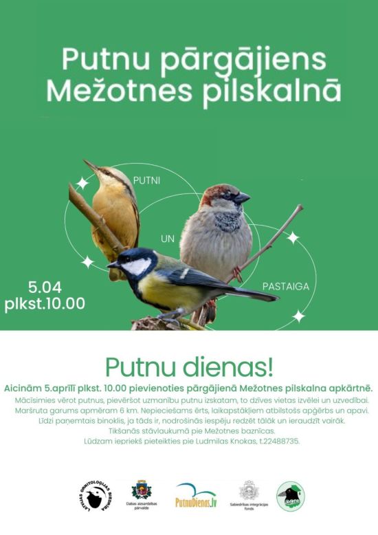 Putnu pārgājiens Mežotnes pilskalnā