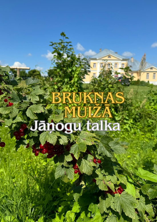 Jāņogu talka Bruknas muižā