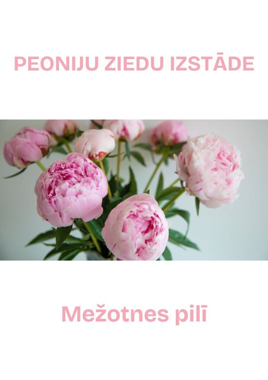 Pojengide õitsemine Mežotne lossis